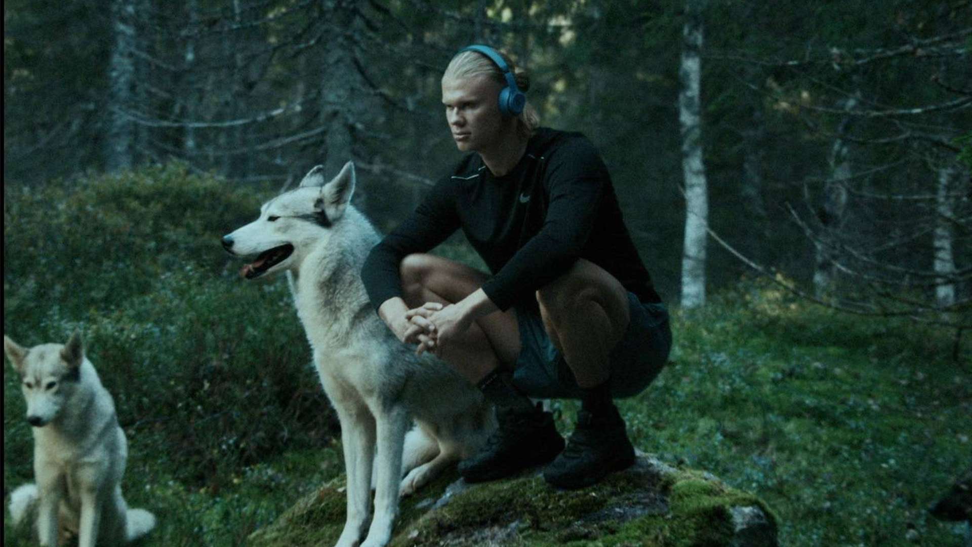 國的轉變 國的轉變